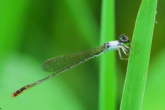 静止类AV怎么拍