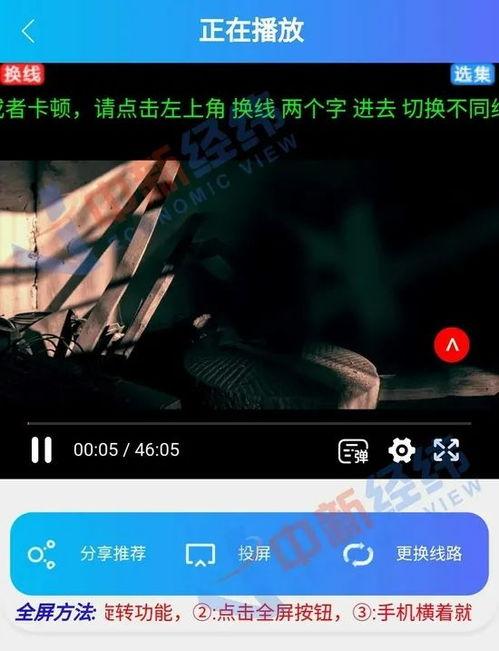 全网视频,揭秘热门话题背后的故事
