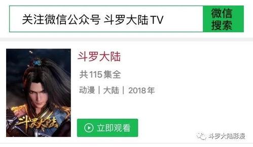 115无码在线播放,揭秘网络世界的私密角落