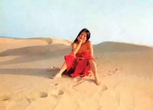 撒哈拉1983免费观看,1983年免费观影之旅