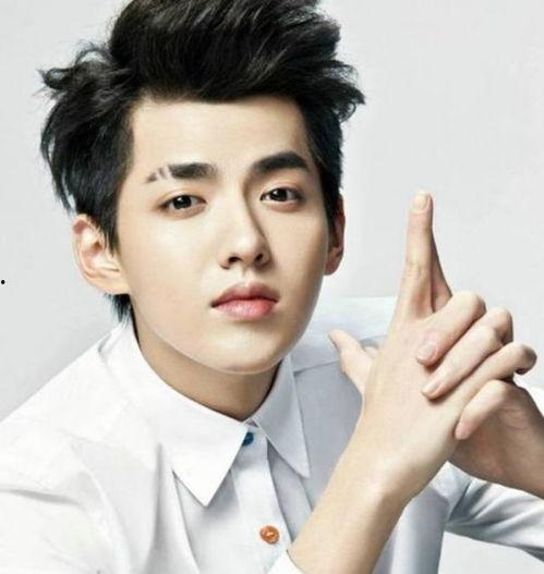 屁股鼻子男明星,颜值与才华并存的风云人物