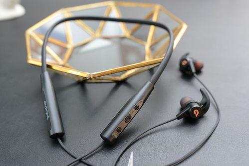 项圈 av,科技与宠物生活的新篇章