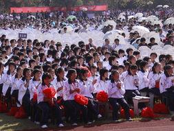 淳安中学爆料新闻,校园风云再起，揭秘背后故事