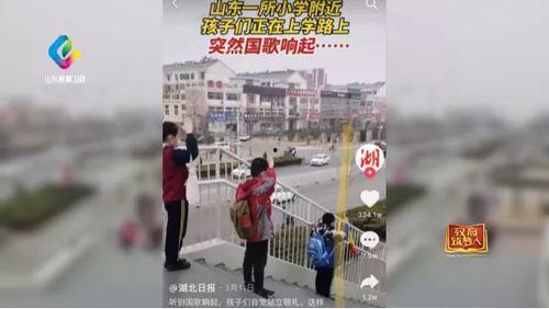 立正敬礼视频,标准动作解析与风采展示