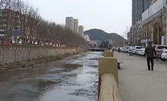 大连泉溪爆料案件最新,揭秘背后惊人真相