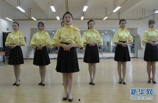 日本淑女学校,传统与现代交融的优雅教育之旅