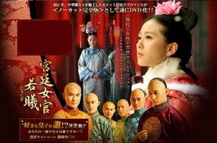 步步惊心日本视频,穿越时空的浪漫传奇